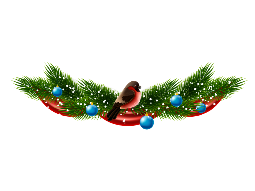 New Year and Christmas Cluster