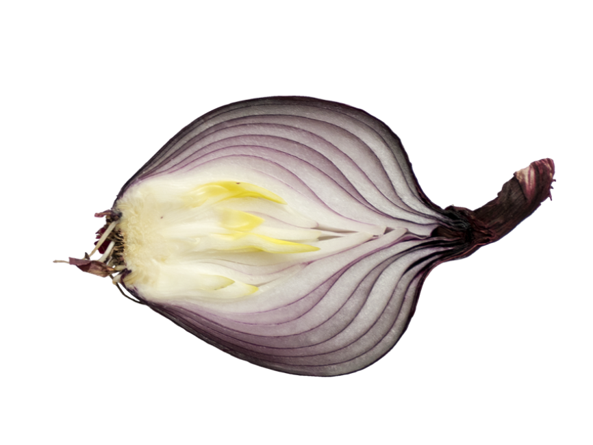 Onion