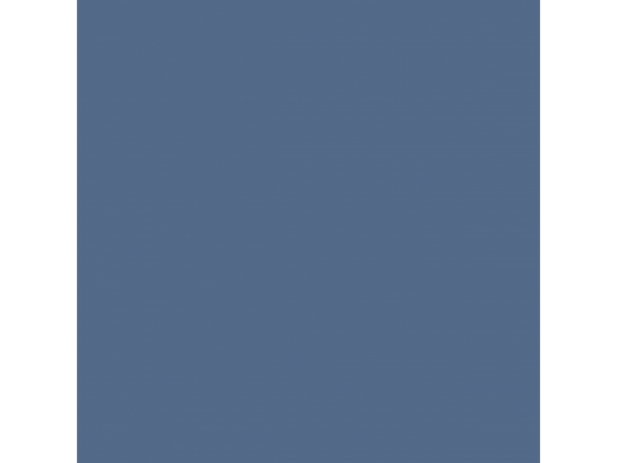 BusinessVision   Logo