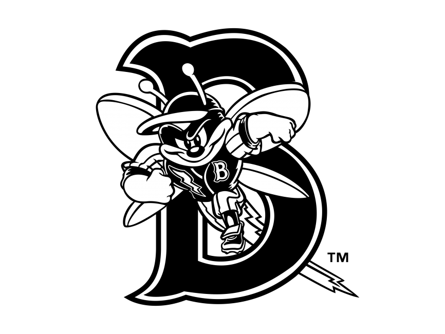 Binghamton Mets   Logo