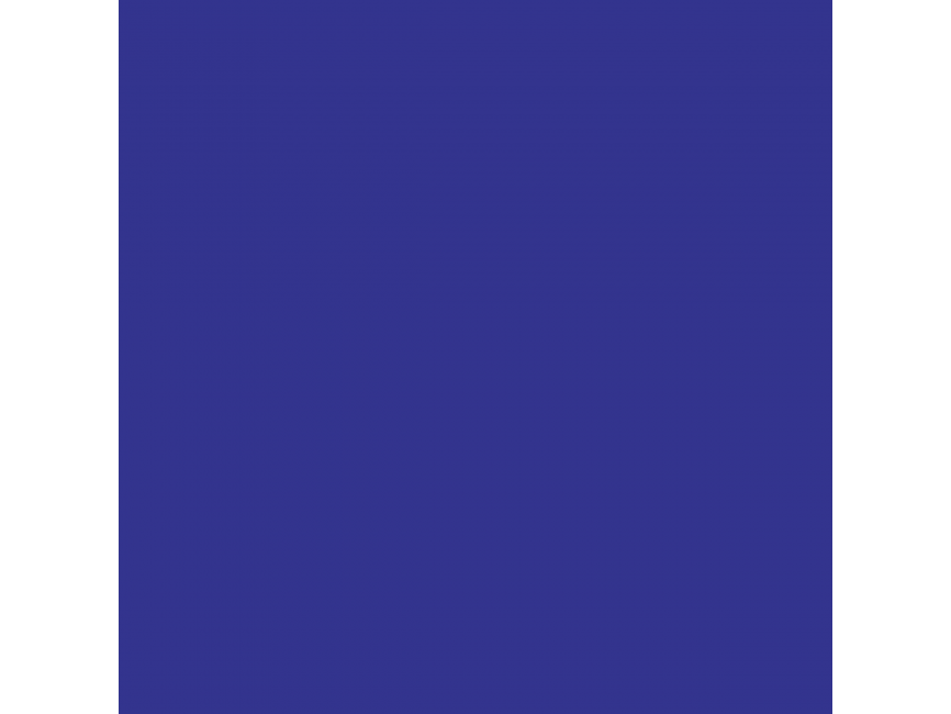 Brandywine Realty Logo