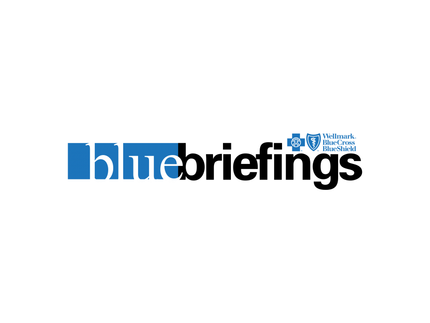 Blue Briefings Logo