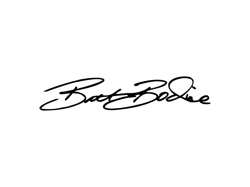 Brett Bodine Signature   Logo