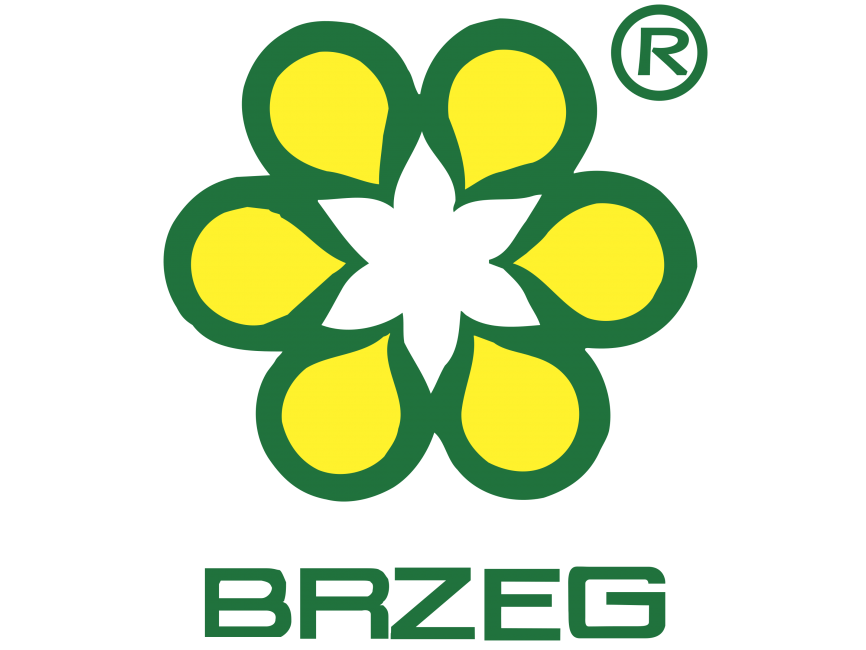 Brzeg Logo