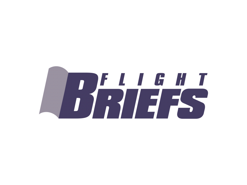 Briefs Flight   Logo
