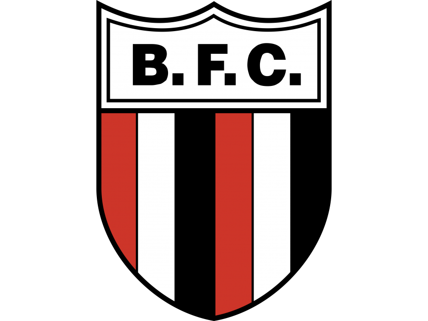 botafogo fc Logo