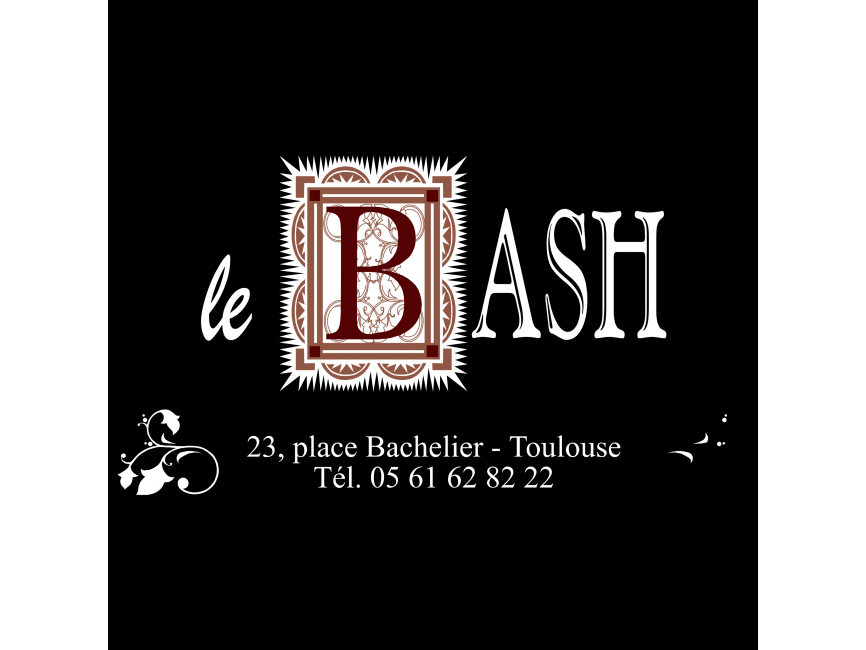 Bash   Logo