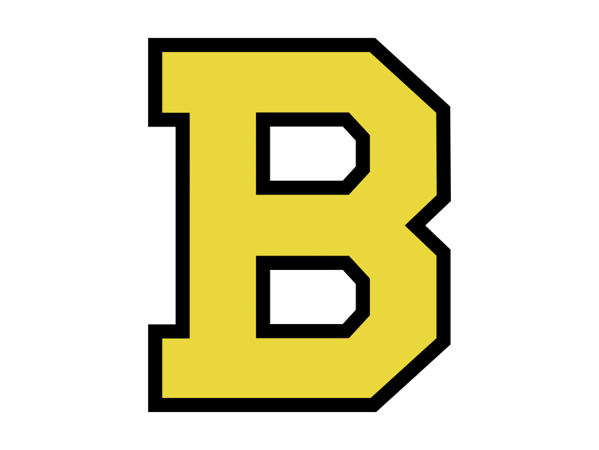 Boston Bruins Logo