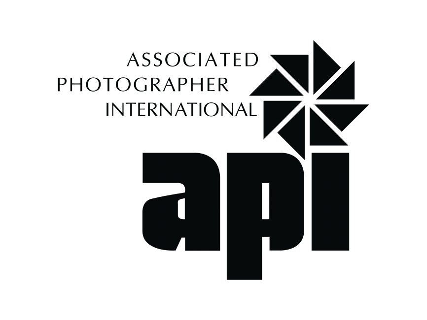 API Logo