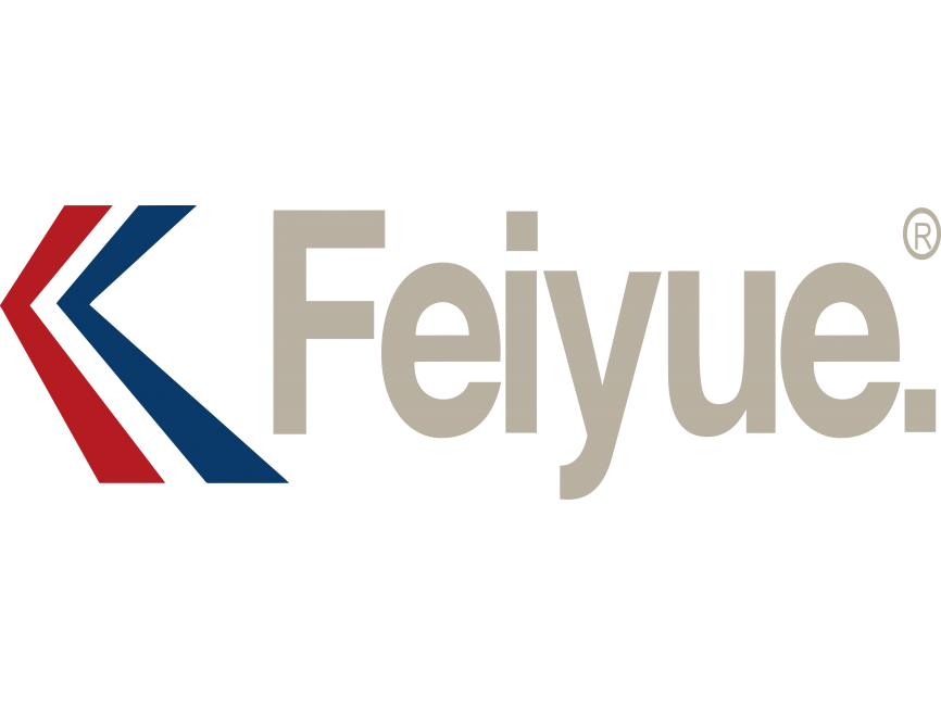Feiyue
