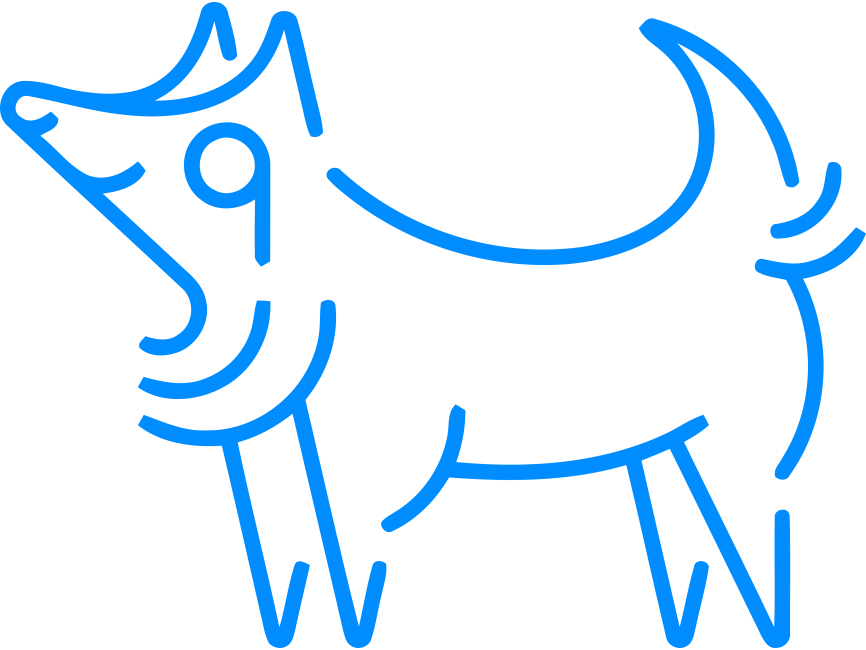 Little Wolf Coffee Roasters