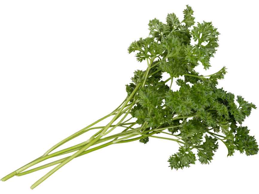 Parsley