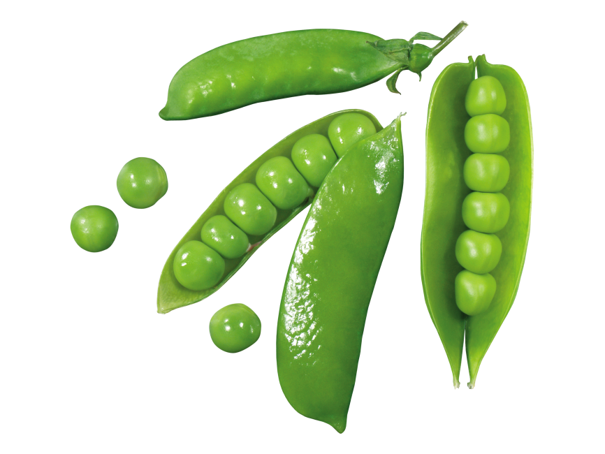 Pea