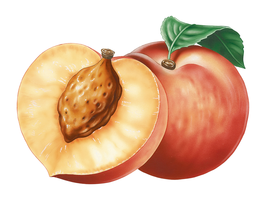 Peach