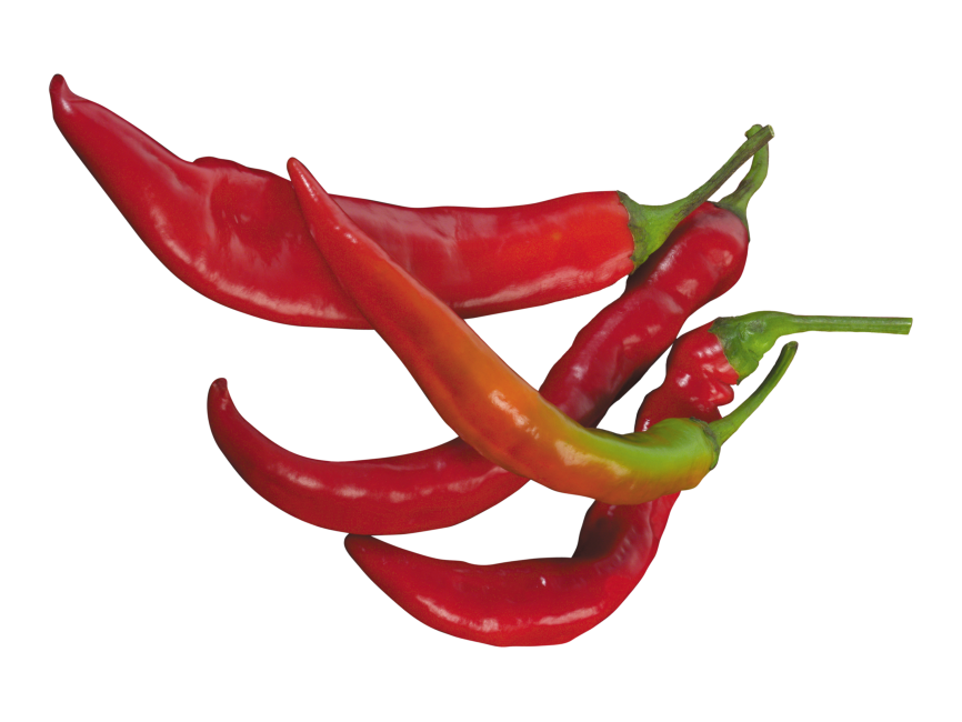 Pepper