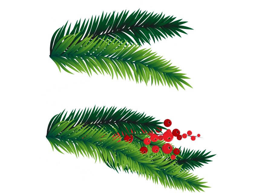Pine Tree Branch
