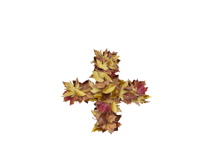 Plus Symbol with Dry Leaves