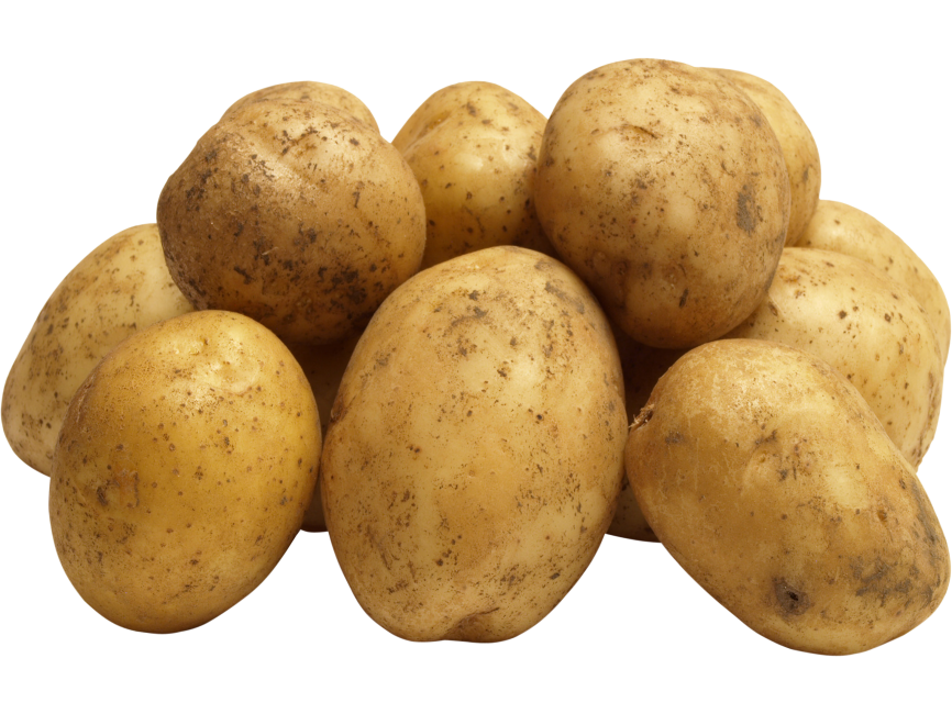 Potato