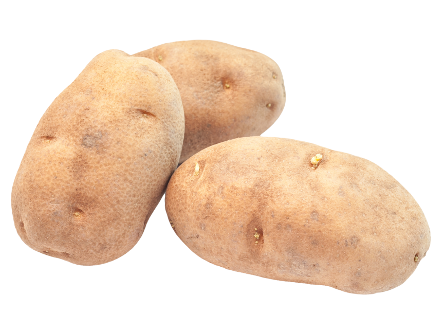 Potato