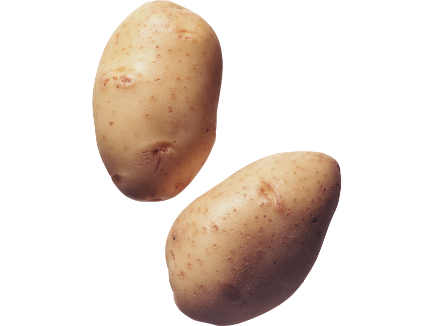Potato