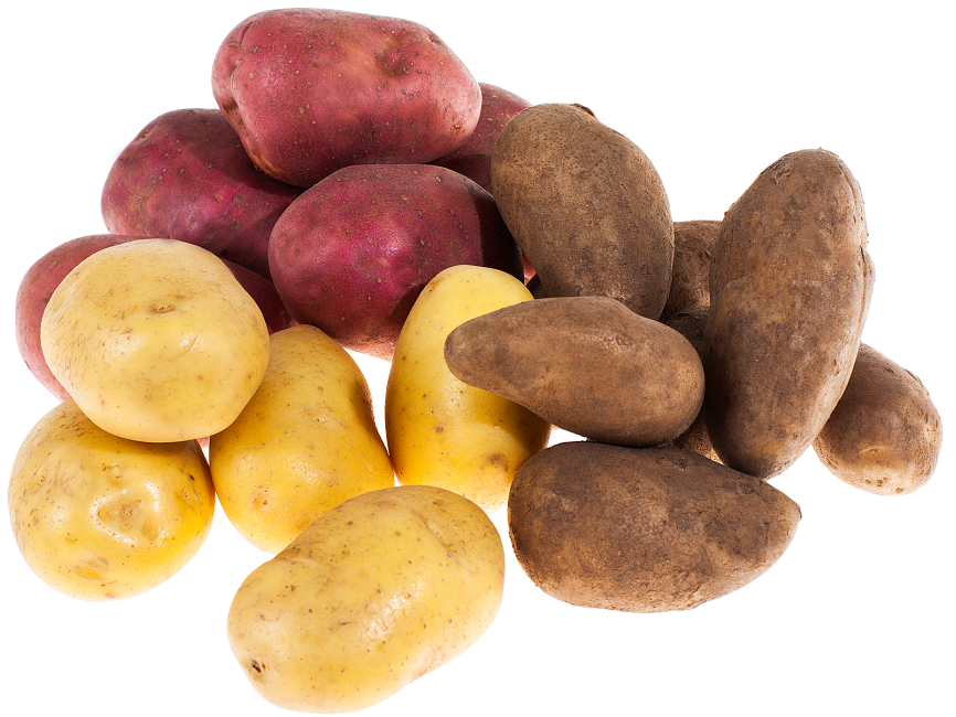 Potato