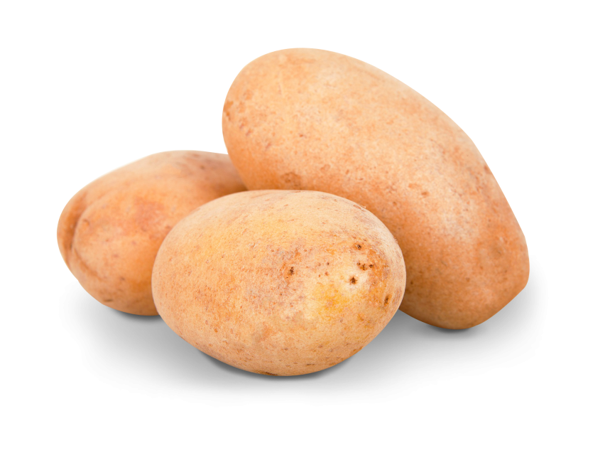 Potato