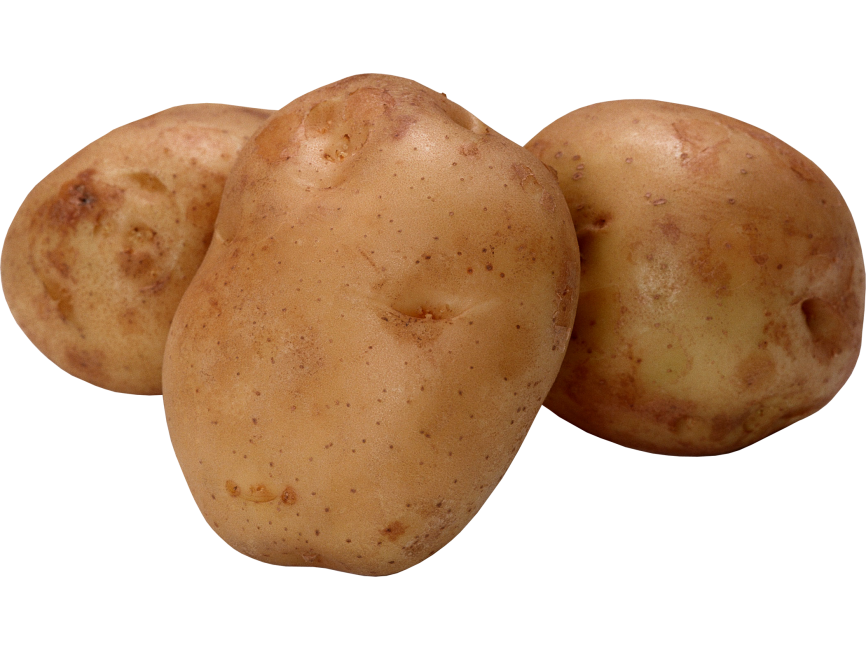 Potato