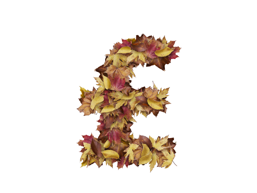 Pound Symbol with Dry Leaves