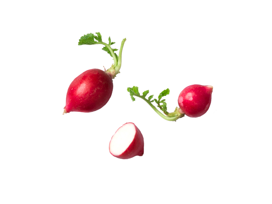 Radish