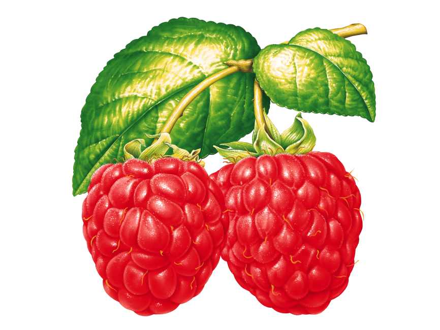 Raspberries