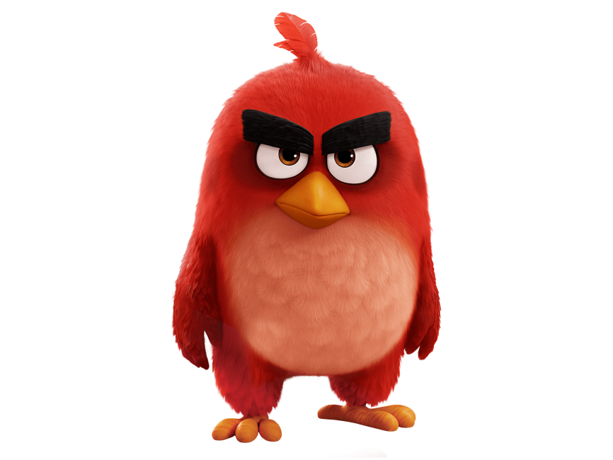 Red Bird The Angry Birds