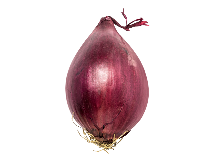 Red Onion