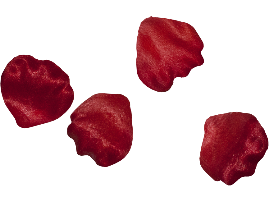 Red Rose