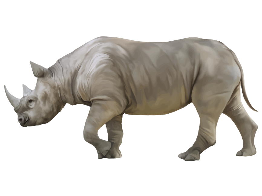 Rhino