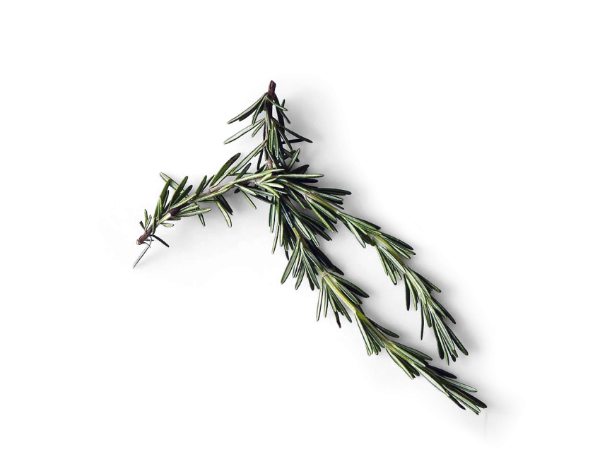 Rosemary