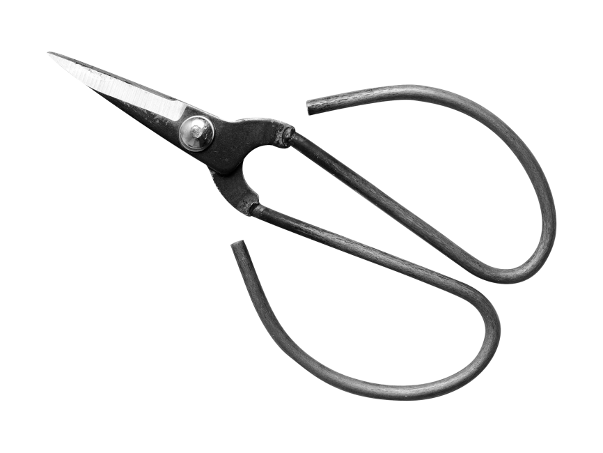 Scissors