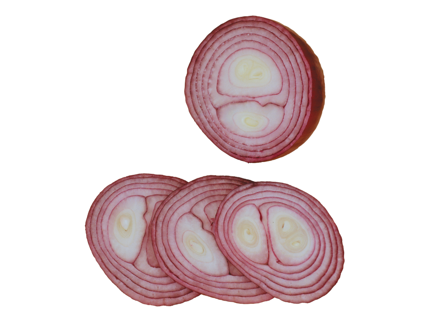 Sliced Onion