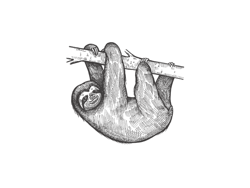 Sloth