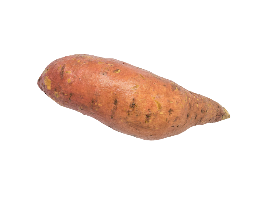Sweet Potato