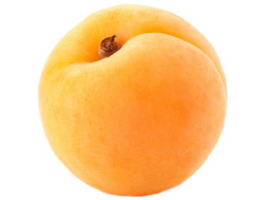 Apricot