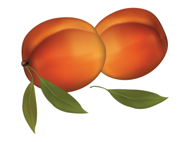Apricot