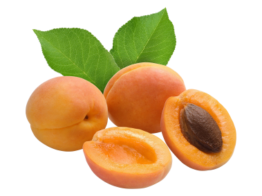 Apricot