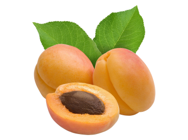 Apricot