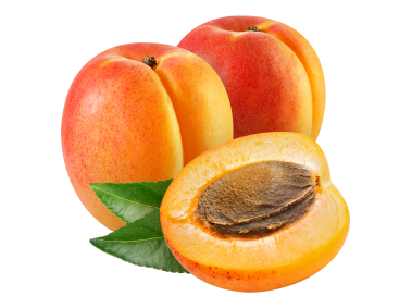 Apricot