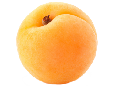 Apricot