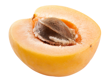 Apricot
