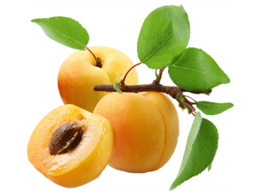 Apricot