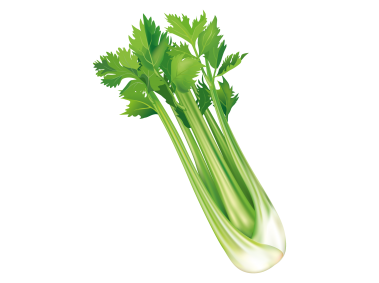 Artichoke
