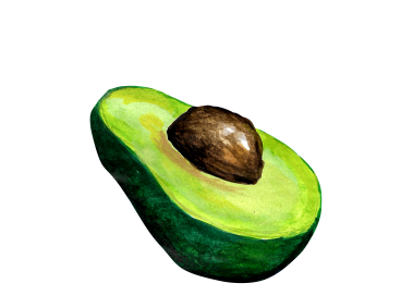 Avocado