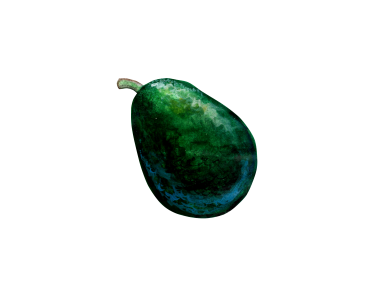 Avocado